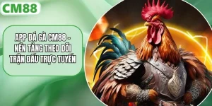 App Đá Gà CM88 – Nền Tảng Theo Dõi Trận Đấu Trực Tuyến