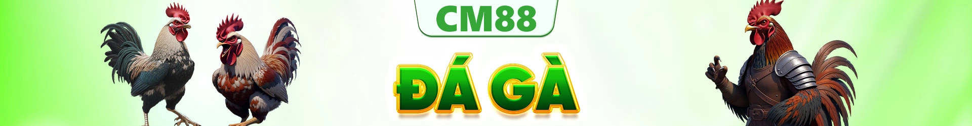 Đá gà
